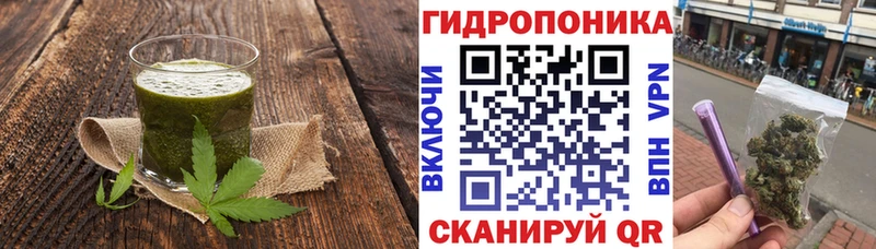 Canna-Cookies конопля  мориарти клад  Верхняя Пышма  hydra tor 