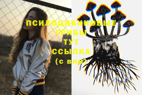 винт Арсеньев