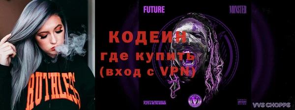 индика Балахна