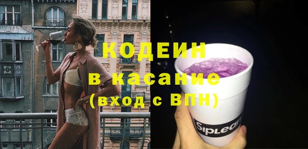 индика Балахна