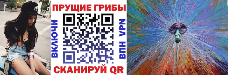 где купить   Верхняя Пышма  Галлюциногенные грибы мухоморы 